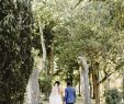 Action tonnelle Génial Les Décalés Philippe5054 Sur Pinterest