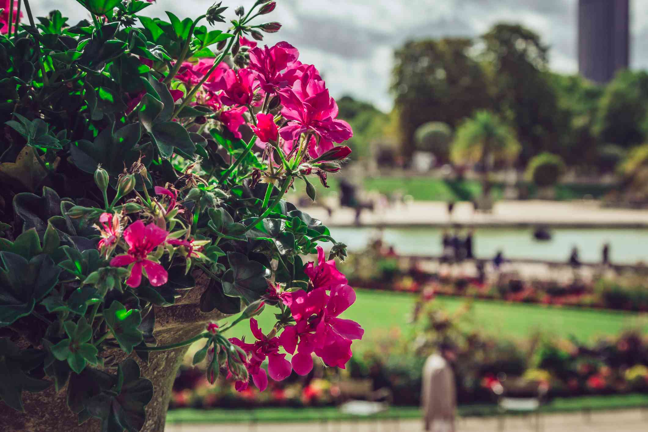 Alice Garden Salon De Jardin Charmant Literary Haunts In Paris Famous Writers Favorite Spots