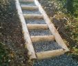 Amenagement Jardin Bois Beau Escalier En Meleze Jardin