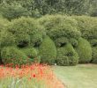 Amenagement Jardin Bois Beau Les Jardins De Séricourt 2020 Ce Qu Il Faut Savoir Pour