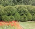 Amenagement Jardin Bois Beau Les Jardins De Séricourt 2020 Ce Qu Il Faut Savoir Pour