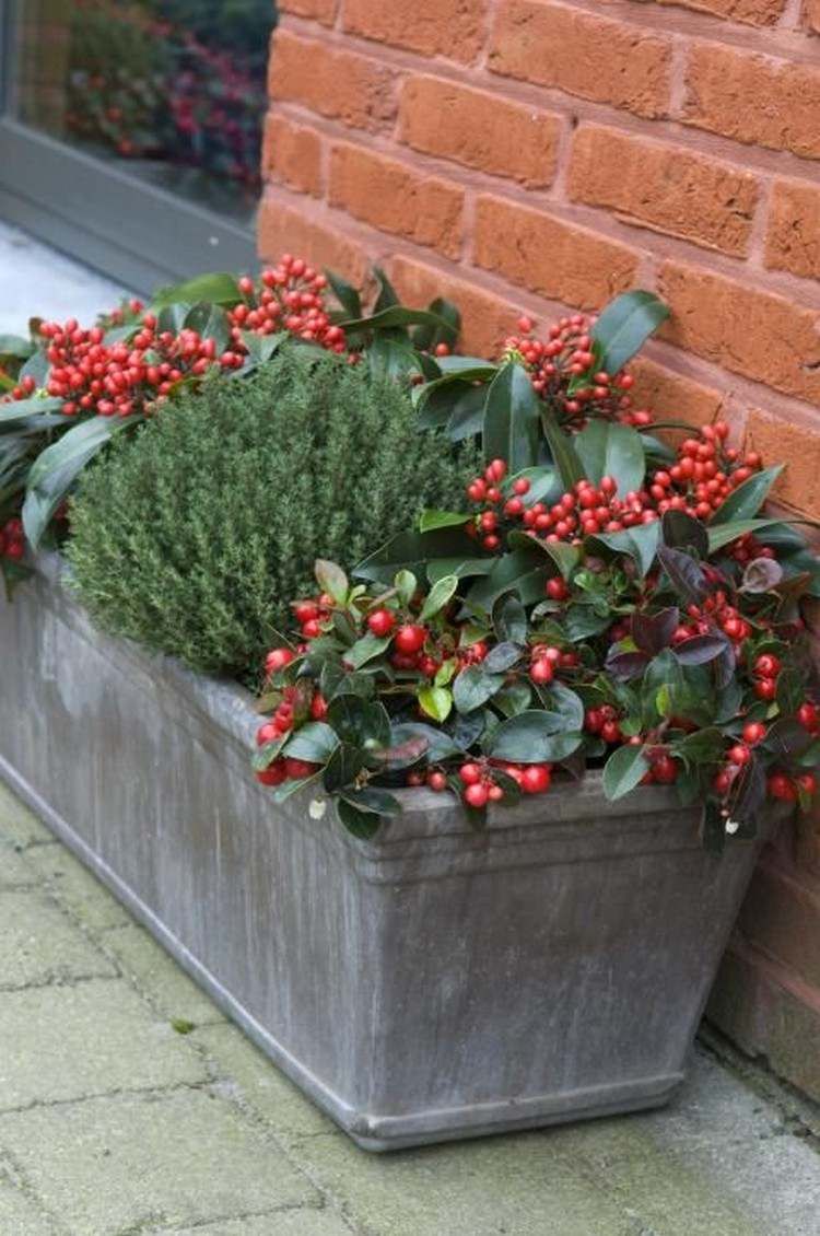 Amenagement Jardin Exterieur Charmant Jardini¨re D Hiver Les Meilleures Idées Pour Valoriser L