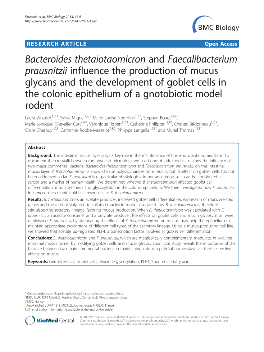 Animalerie Leclerc Inspirant Pdf Bacteroides thetaiotaomicron and Faecalibacterium