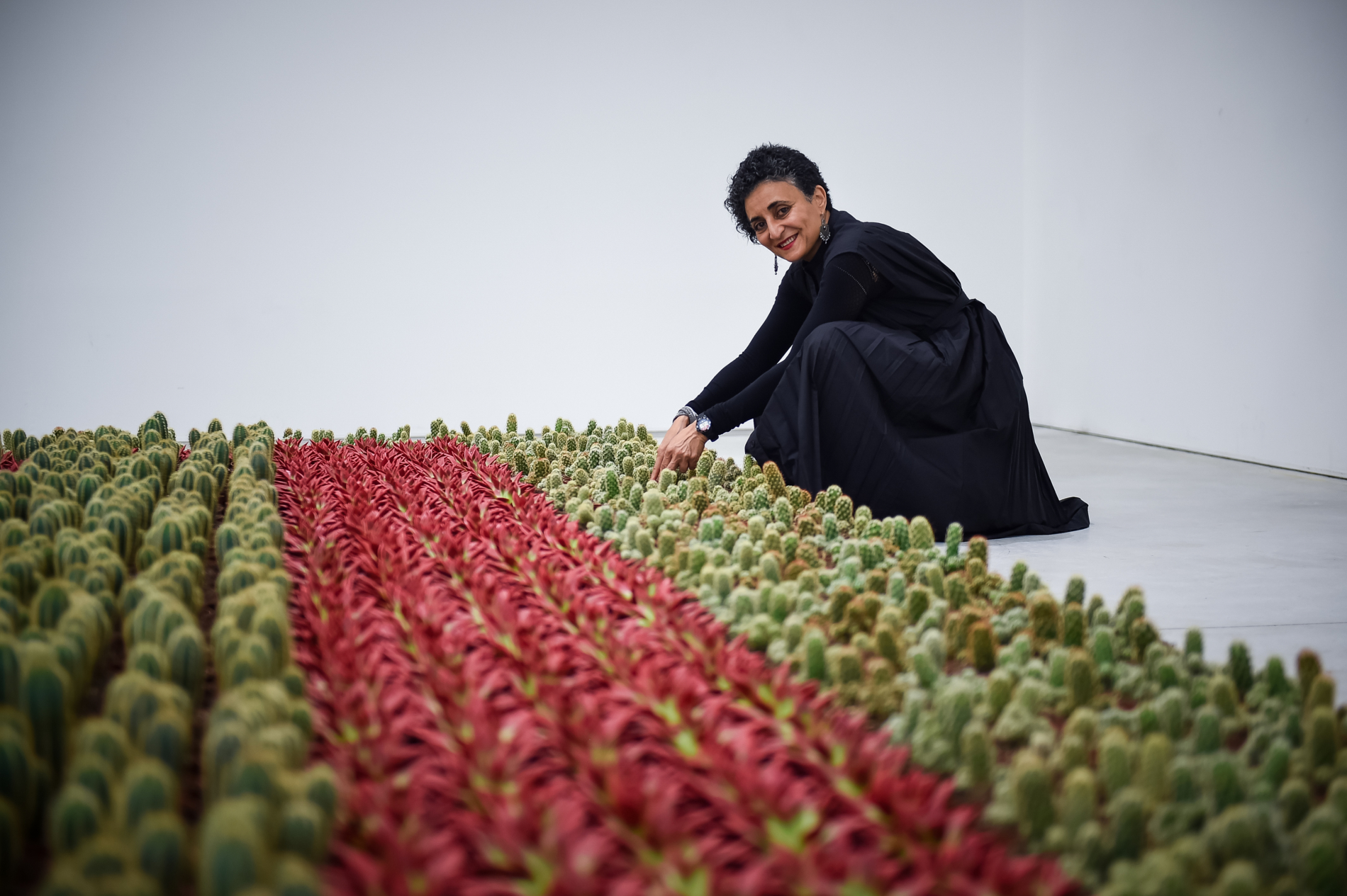 ghada amer artiste franco egyptienne a cree un jardin anti machiste de cactus 1