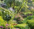 Banc De Jardin Design Luxe 25 Beautiful Small Cottage Garden Ideas for Backyard