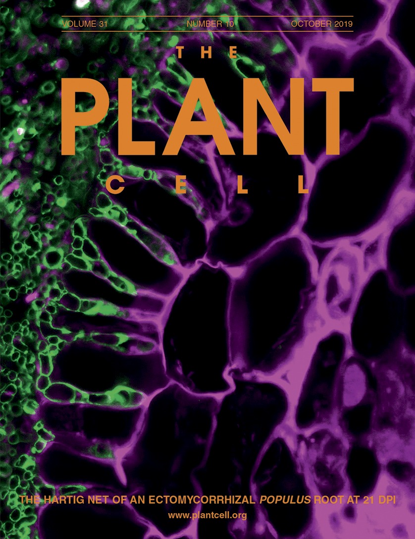 Banc Pour Table à Manger Unique Posttranslational Modification Of the Nadp Malic Enzyme