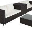Banquette De Jardin En Resine Tressee Nouveau Tectake Salon De Jardin 4 Personnes En Résine Tressée 2 Canapés Modulables Coffre De Rangement Et Table Basse En Verre Inclus – Plusieurs