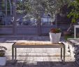 Banquette Jardin Frais Banc De Jardin En Bois De Teck Et Inox Arno In 2019