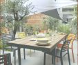 Bar De Jardin Resine Tressee Frais De Table Aluminium Pliante Luckytroll