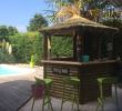 Bar Exterieur De Jardin Inspirant Terrasse De Bar D Occasion