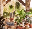 Bar Exterieur Jardin Best Of 20 Idées Déco Pour Faire Entrer L été Chez soi