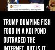 Bar Resine Tressee Charmant Trump Dumping Fish Food In A Koi Pond Outraged the Internet