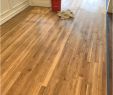 Brico Depot Inspirant 15 Cute Hardwood Floor Colors Home Depot