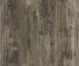 Brico Depot Nice Beau 15 Cute Hardwood Floor Colors Home Depot