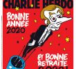 Brico Depot Rodez Best Of Journal Satirique & La¯que Dessins De Presse Charlie Hebdo