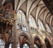 Brico Depot Strasbourg Charmant File Nave organ and Stained Glass Windows Of Strasbourg