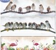 Bricolage Discount Beau Plein Carré Rond Percer 5d Bricolage Diamant Peinture Oiseaux Mosa¯que Diamant Image Broderie Strass Animaux Décoration De La Maison