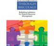 Bricolage Discount Génial Development Through Bricolage Rethinking Institutions for Natural Resource Management