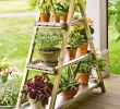But Jardin Luxe Factory Second A Frame Plant Stand This Looks Like It Would