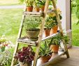 But Jardin Luxe Factory Second A Frame Plant Stand This Looks Like It Would