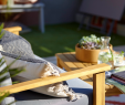 Castorama Bain De soleil Beau Cette Table Affiche Un Style Naturel Des Plus Tendances