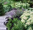Castorama Jardinerie Élégant 68 Meilleures Images Du Tableau Jardin