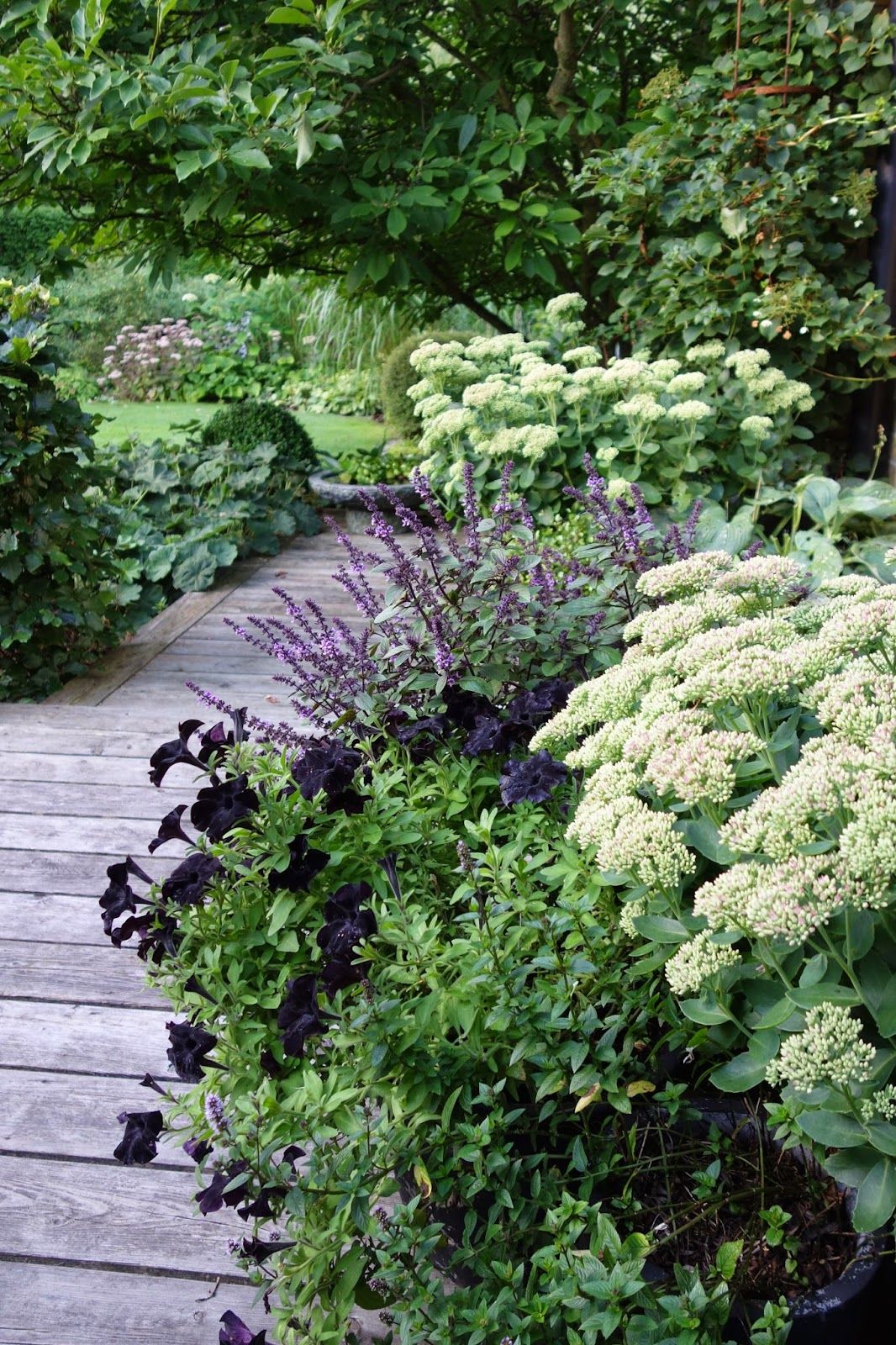 Castorama Jardinerie Élégant 68 Meilleures Images Du Tableau Jardin