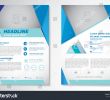 Catalogue Bi1 Charmant Vector Brochure Flyer Design Layout Template Stock Vector