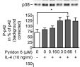 Centre Leclerc Roques Beau Jak Stat1 3 Induced Expression Of Signal Sequence Encoding