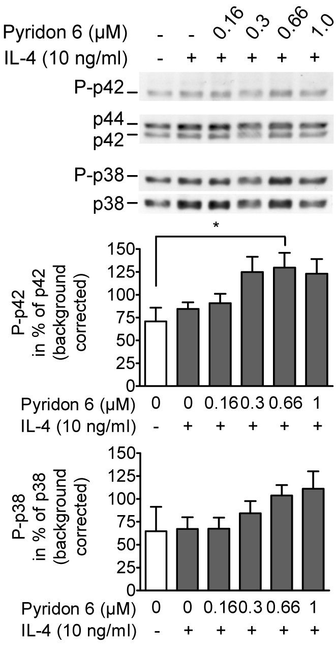 Centre Leclerc Roques Beau Jak Stat1 3 Induced Expression Of Signal Sequence Encoding