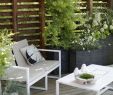 Chaise Basse Jardin Luxe Ensemble Salon De Jardin Table Basse Banquette Et