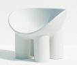 Chaise De Jardin Blanc Charmant Chaise De Jardin Avec Accoudoirs Roly Poly