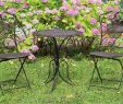 Chaise Jardin Metal Inspirant Salon De Jardin 1 Table Et 2 Chaises Métal Style Antique Marron