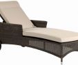 Chaise Longue De Salon Charmant Pin On Conception De Jardin