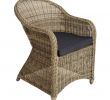 Chaise RÃ©sine TressÃ©e Best Of Chaise Fauteuil De Jardin De Salon En R Sine Tress E Poly