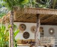 Coin Detente Jardin Génial Home Tropical & Boho En 2019