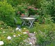 Coin Detente Jardin Génial Un Coin Romantique Dans Votre Jardin