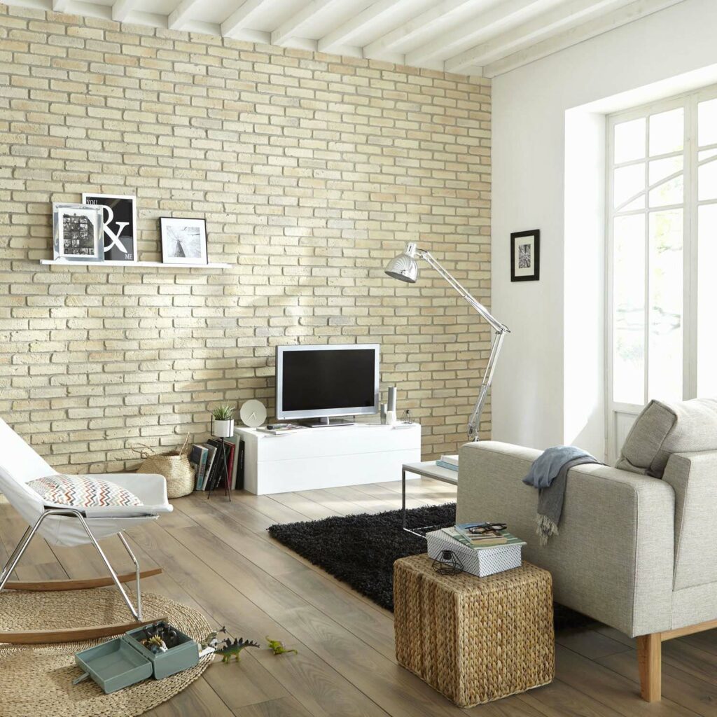 idees idee deco salon avec mur en pierre frais et luxe 1024x1024