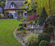 Detente Et Jardin Frais Le Jardin Du Petit Bordeaux Dans La Sarthe