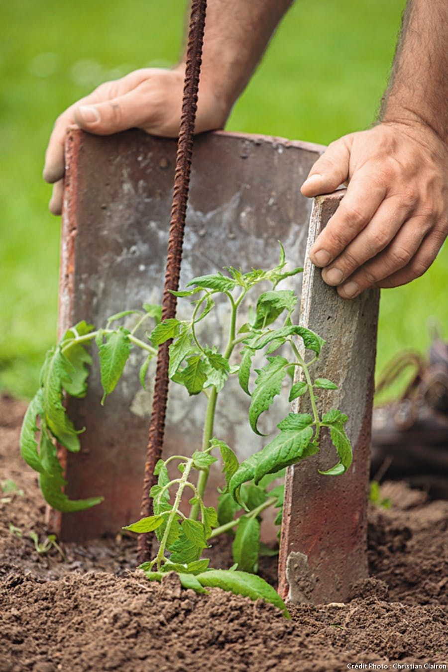 Detente Et Jardin Inspirant Ment Planter Les tomates En 6 étapes