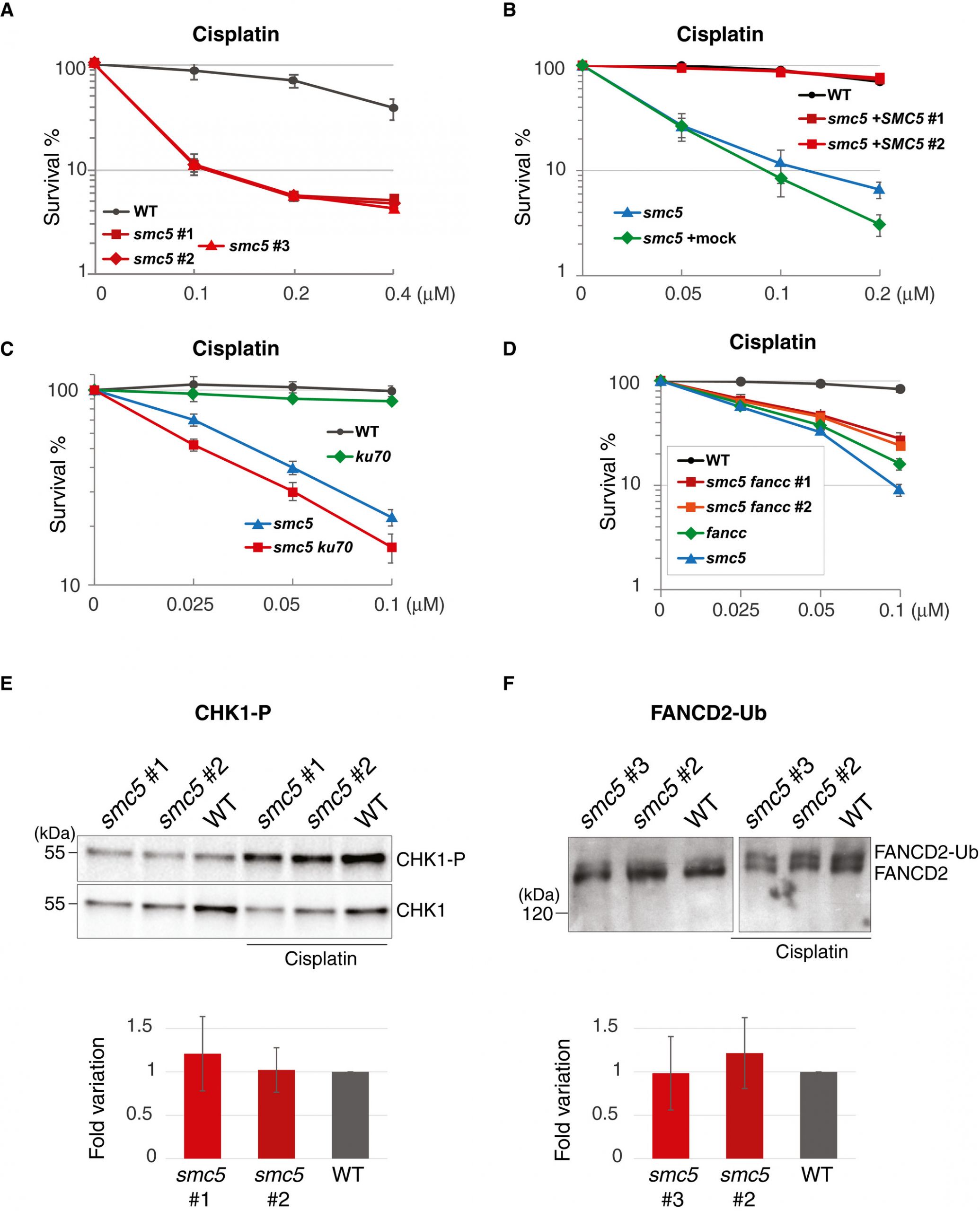 embr fig 0002 m