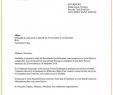 Enseigne Leclerc Best Of Lettre De Motivation Exemple Type