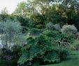 Ensemble Jardin Beau Index Of Wp Content