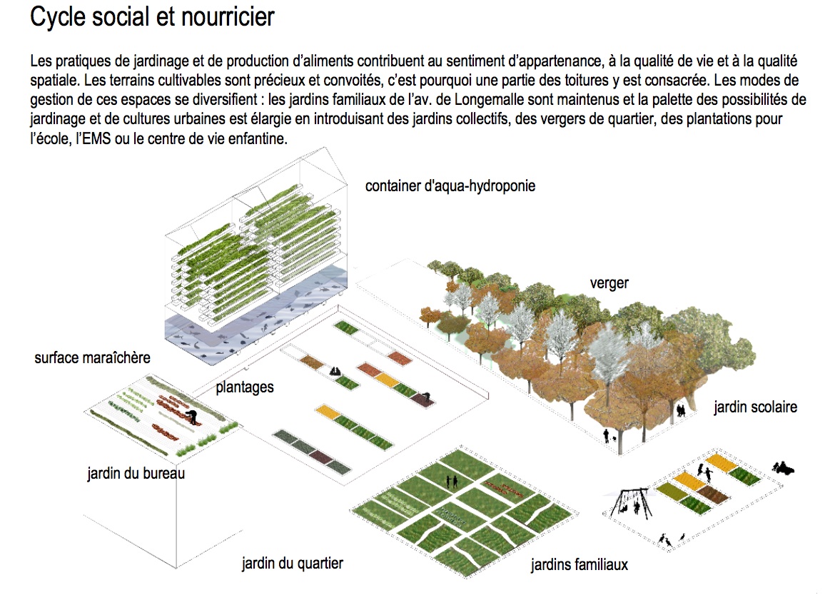 Ensemble Jardin Beau Plantage Typologies