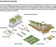 Ensemble Jardin Nouveau Plantage Typologies