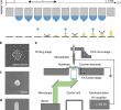 Fabrication Palette Best Of Direct Printing Of Nanostructures by Electrostatic