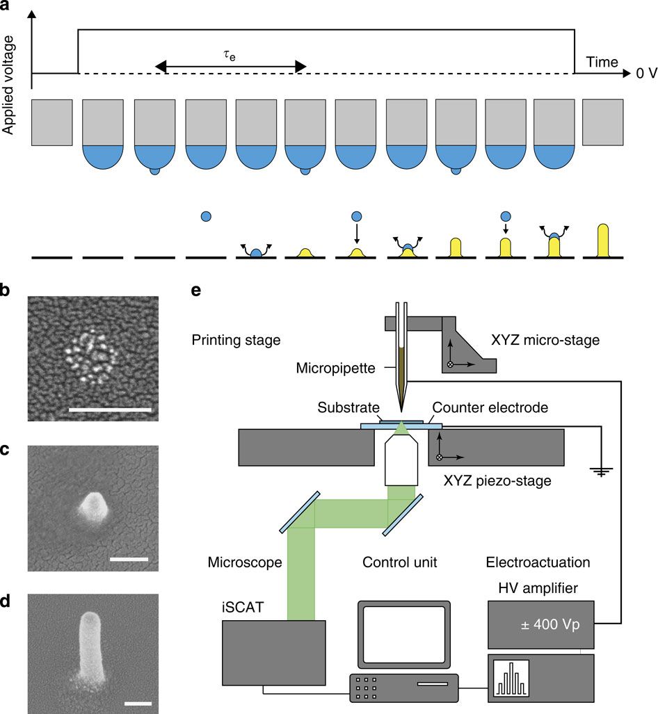 Fabrication Palette Best Of Direct Printing Of Nanostructures by Electrostatic