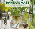 Faire Une Table De Jardin Beau Faire Un Jardin Aquatique Dans Un Vase