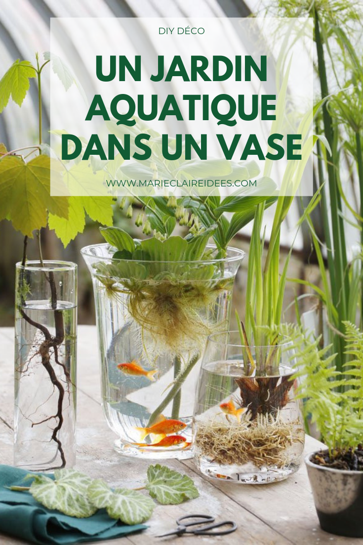 Faire Une Table De Jardin Beau Faire Un Jardin Aquatique Dans Un Vase