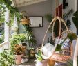Fauteuil De Balcon Charmant Hanging Plants Make This Terrace Incredible Boho Pruned